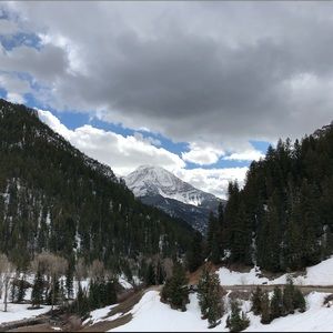 Meet your Posher, Jordan